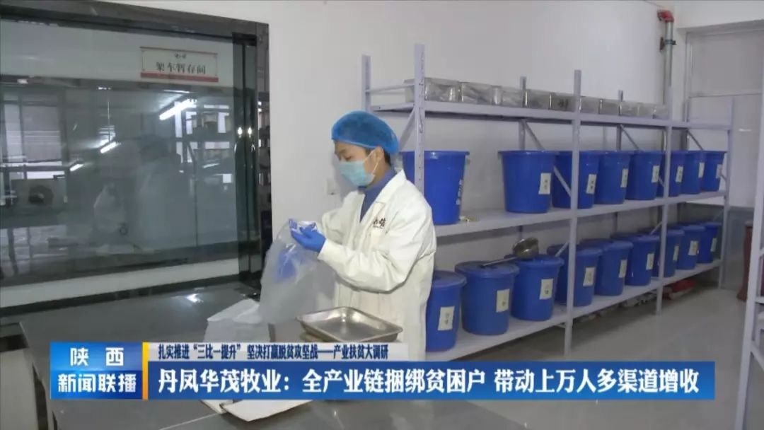 2018年凤县经济总量_凤县夜景图片(3)