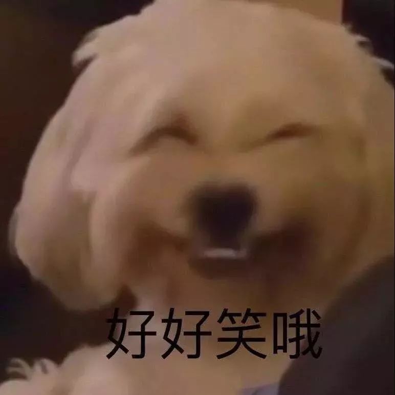 表情包丨骚凹~瑞