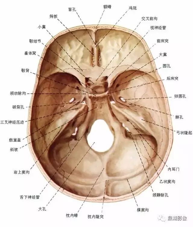 必点收藏精致颅底影像解剖