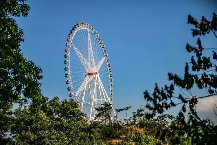 海洋大世界攻略 019bdd6c22b74f1a8d81ffeadefaeb5f.jpeg