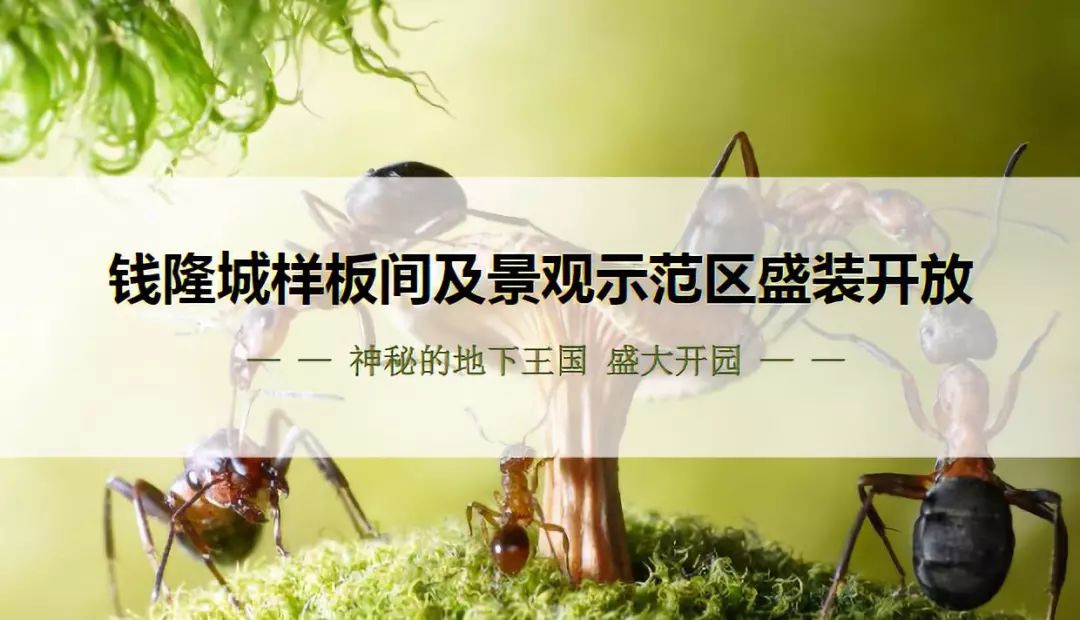 神秘复苏免费阅读 032d62b3517240ed983f957b5a979097.jpeg