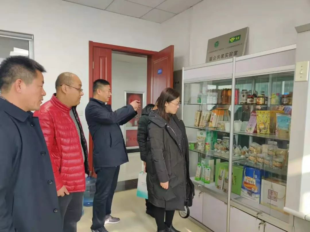 gdp考核乡村振兴_乡村振兴图片