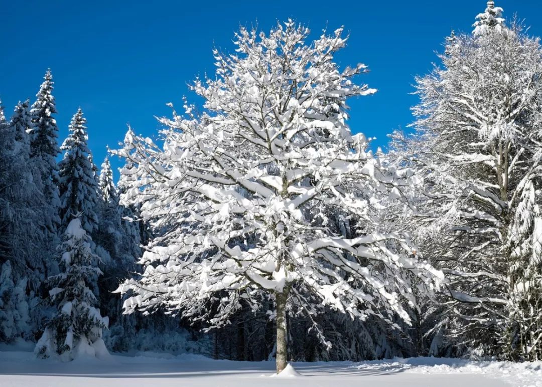 冬季有雪的地方怎么穿搭_冬季的雪怎么画雪景