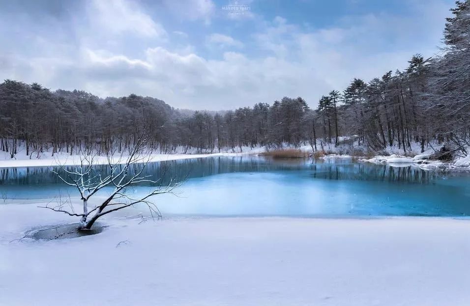 看完这些绝美雪景别说你不爱日本的冬天了