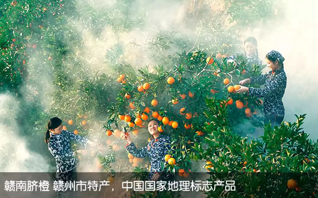 九江赣州南昌近年经济总量对比_九江到赣州的地图(2)