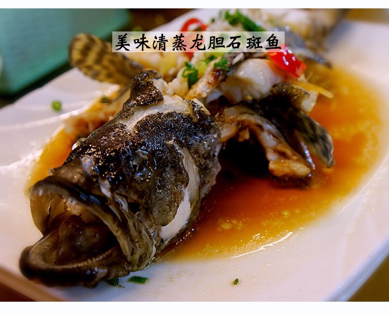 石斑鱼一种低脂肪高蛋白的海鸡肉美容护肤鱼