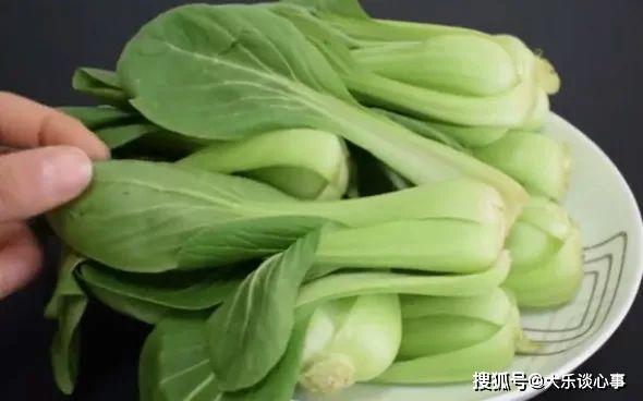 如何挑选大颗青菜 244cecbc9c5b46a691eb32ea391bf3d7.jpeg