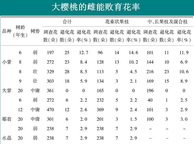 大樱桃简谱_大樱桃图片大全大图