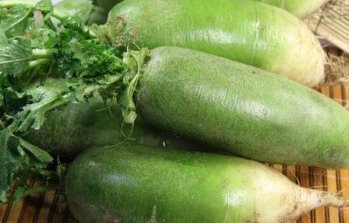 什么时间种萝卜合适 3b6b4d33cb8047f7b05ec3e612ec1455.jpeg