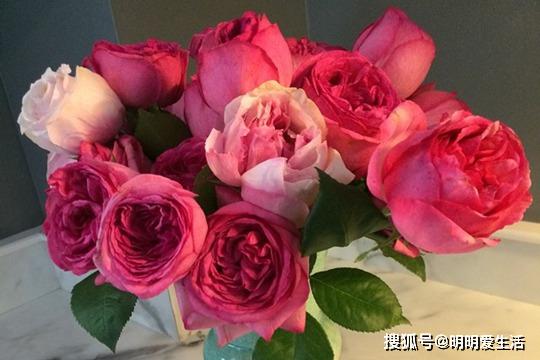 玫瑰花怎么吃才最好 420c02d2550f4002a9d3328e6fc74cf9.jpeg