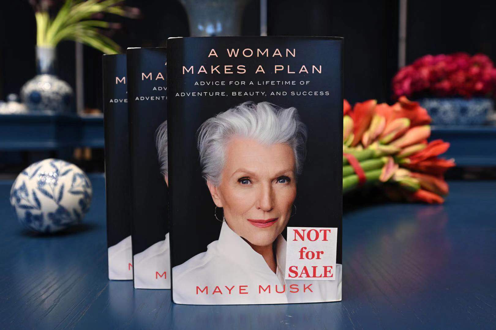 maye musk book a woman makes a plan