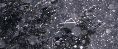 关于冬至的好词好句好诗手抄报作文素材准备好了