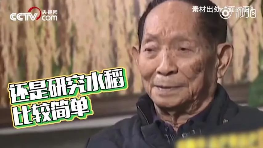 4b3f20f879a64c98aaddb64c2d80ba48.jpeg