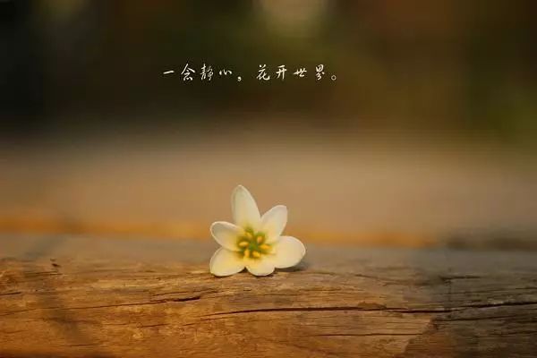 怎么才能让自己变得平静 56960c67969e4f1f9a600faa225414b6.jpeg