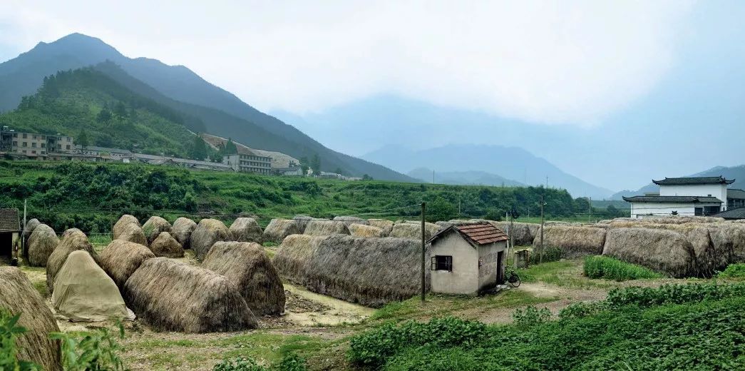 宜兴到底有多少外来人口_宜兴有竹海风景区(3)