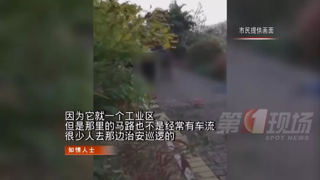 深圳大鹏一偏僻小路打工女子被砍数刀身亡，作案嫌疑人已落网