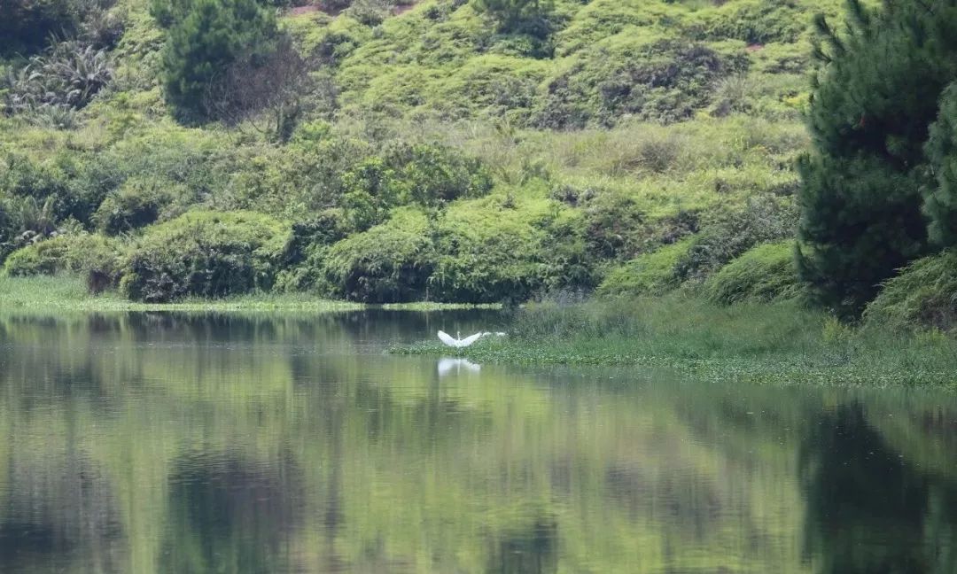 怀集燕都国家湿地公园 在湿地生态保护与恢复方面 积累了丰富经验