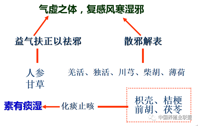 柴胡GDP(3)