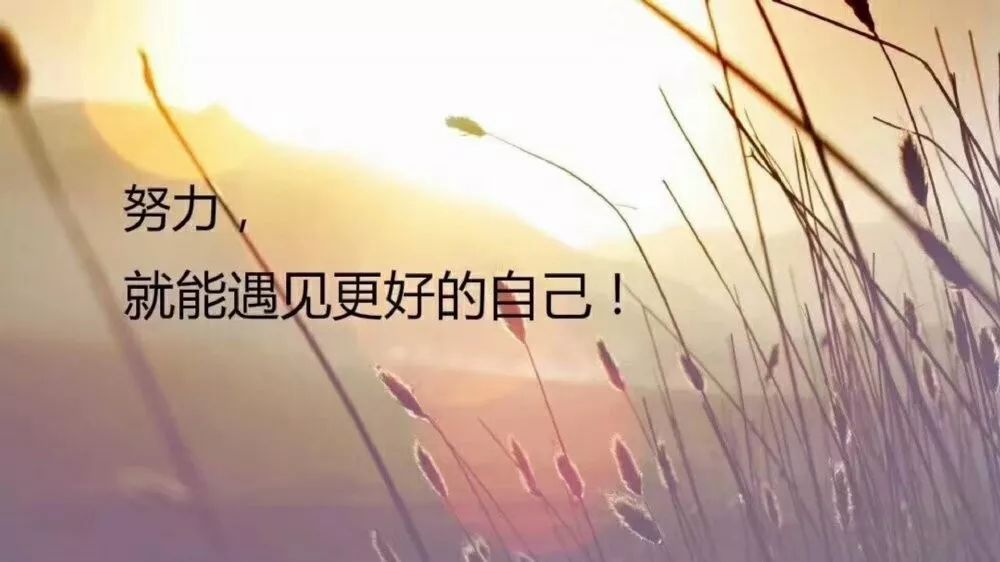 6bba14c4acf14e028a4be18f76940f80.jpeg
