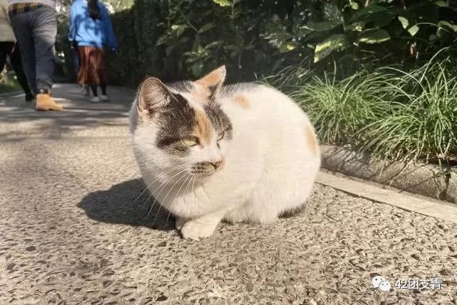 东安塘服人口_东安一中图片(3)