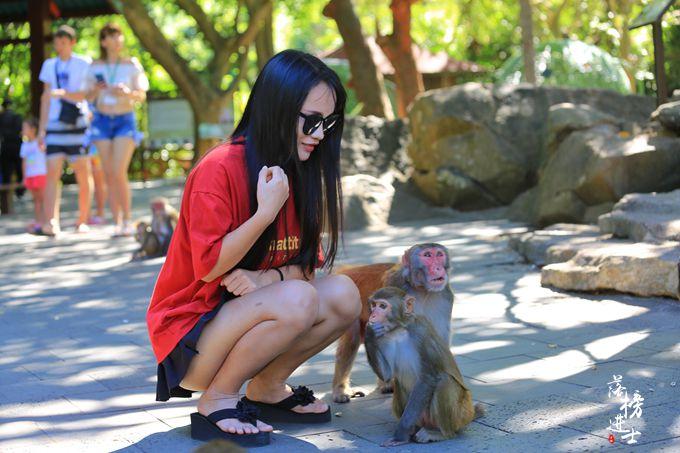 原创             海南小众旅游地，陵水南湾猴岛，世界唯一的岛屿型猕猴自然保护区
