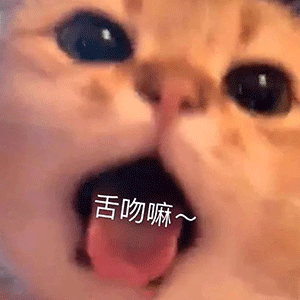 表情包:看着我的卡姿兰大眼告诉我,爱我吗