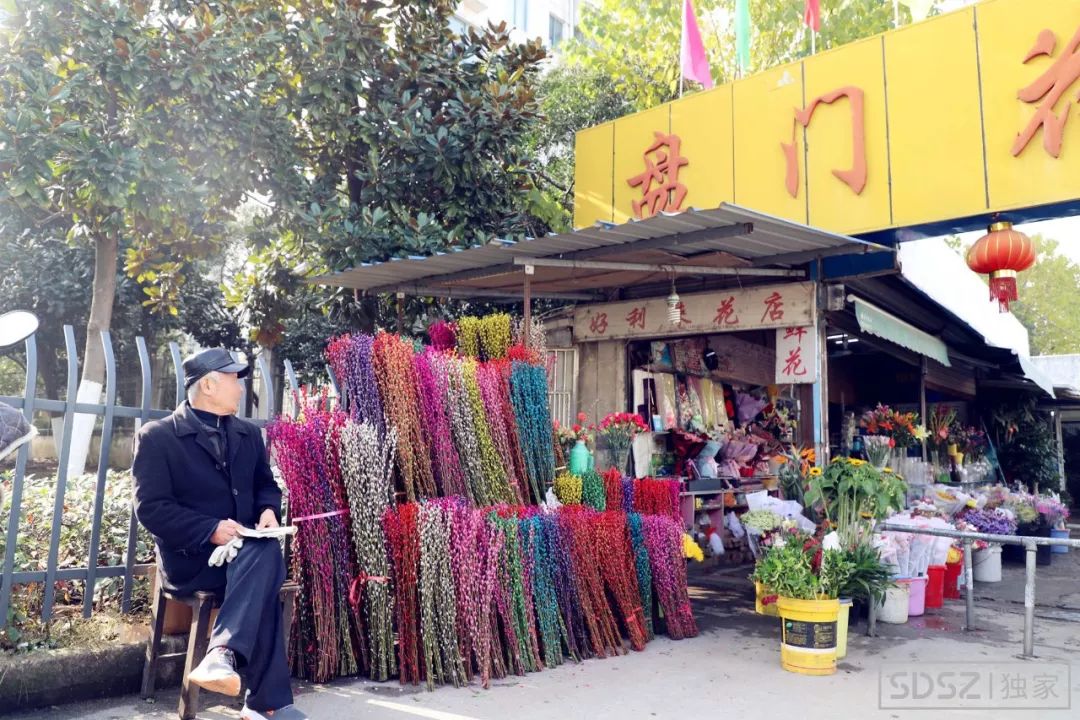 苏州盘门花鸟市场即将消失我们去见了它最后一面整个市场都在清仓