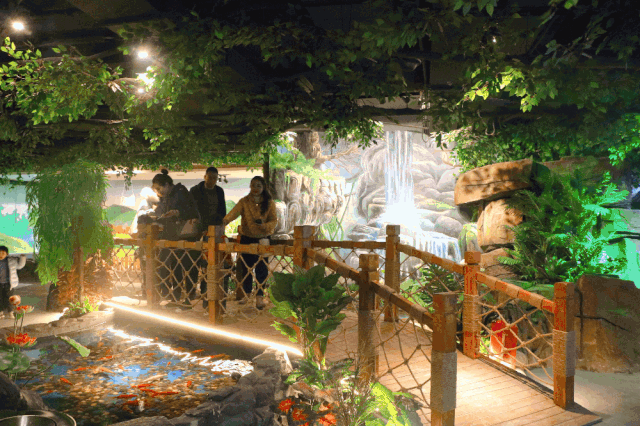 超大空间的  奇幻森林  强大的动物阵容  上百种  奇趣萌宠  等你来!