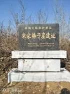 蒙阴县这些县级文物保护单位都安装上标志碑,你们村有吗?