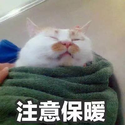 9ae02c3dd23c4d228169926197485238.jpeg