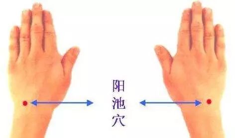 吃什么东西可以快速补充阳气 a1a78e82baf5418daf7e65b709969b0c.jpeg