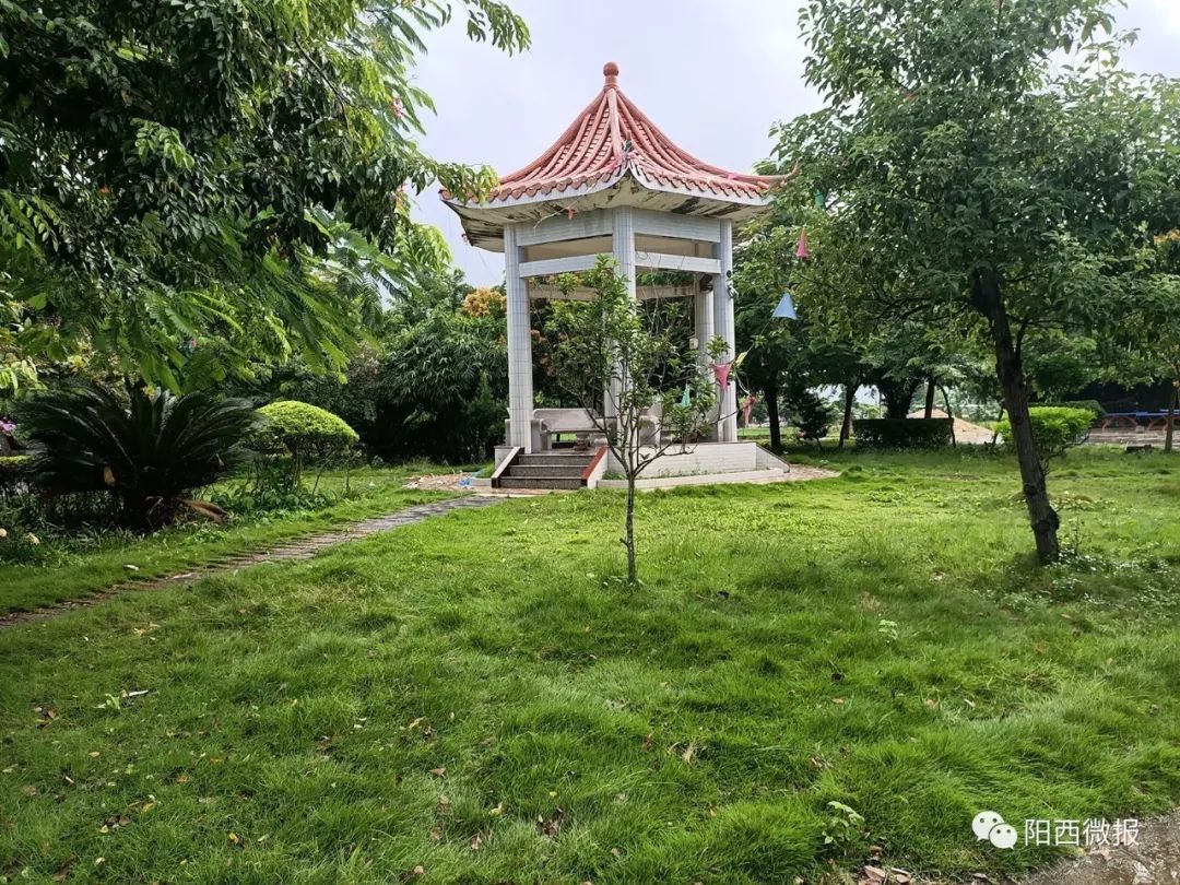 【丹江红党建】阳西县这条被毛主席作过批示的村,超燃