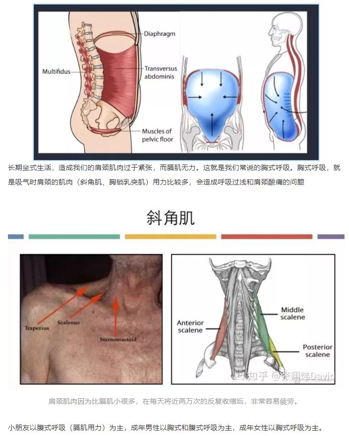 如何练习下腹腰部代偿 a925bcb7eb2049349c7a74d3a3b10aa2.jpeg