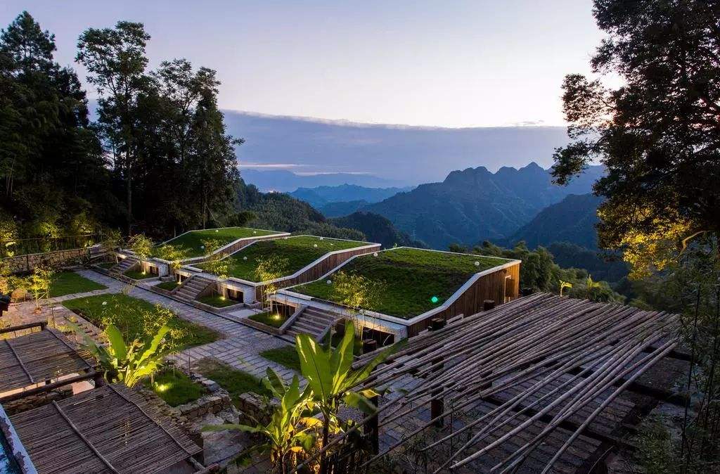 宝峰山下大庸秘境看,竹林深处的"大庸秘境(特色民宿,精明的商家坐拥