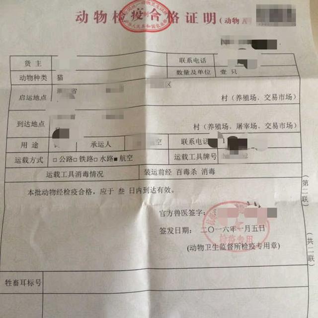 即狂犬疫苗和猫三联疫苗证明,一般用于飞机托运,由宠物医院开具.