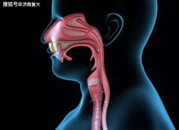 全球食管癌发病率排名 d3ecd2749c6f44c8846b3938a08ab237.jpeg