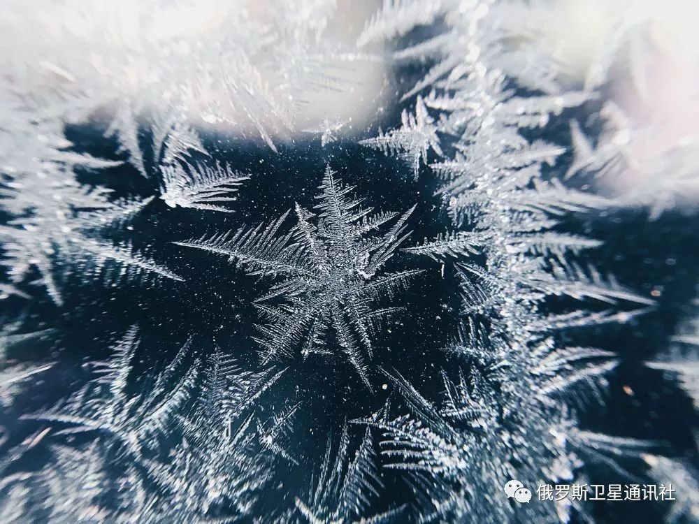 图集 冰花美人:那些你未曾见过的雪花