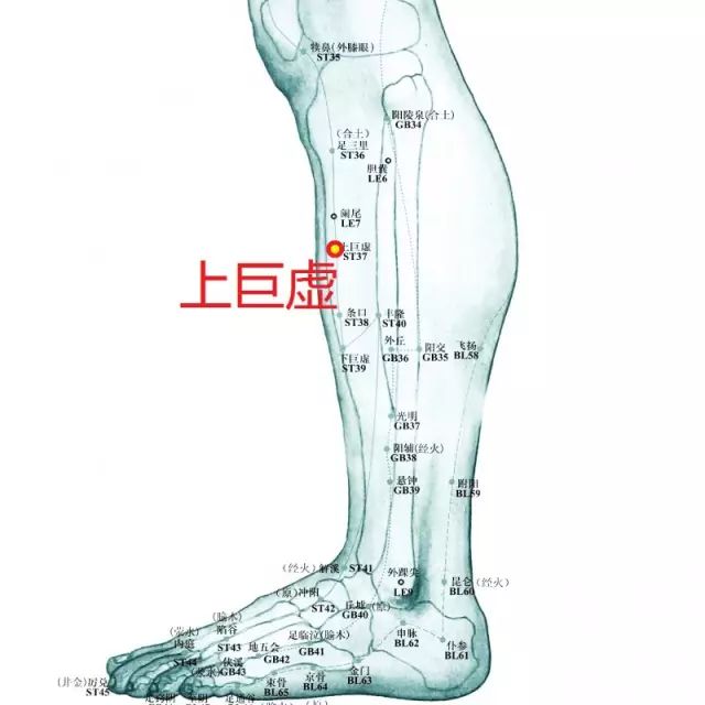 针灸补和泻是什么原理_针灸补泻手法图解