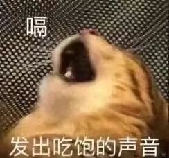 e174784e48f94ecb9ec962ab6ae0f0a7.jpeg