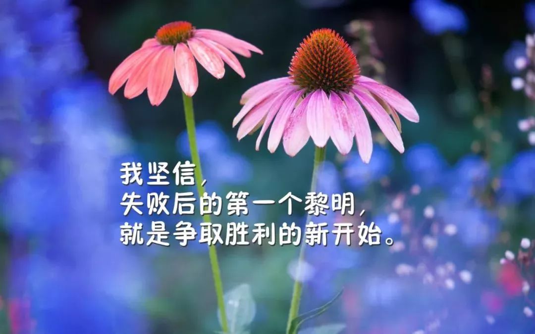 e8511f6941a04a97a624fb3d1fdc84a9.jpeg