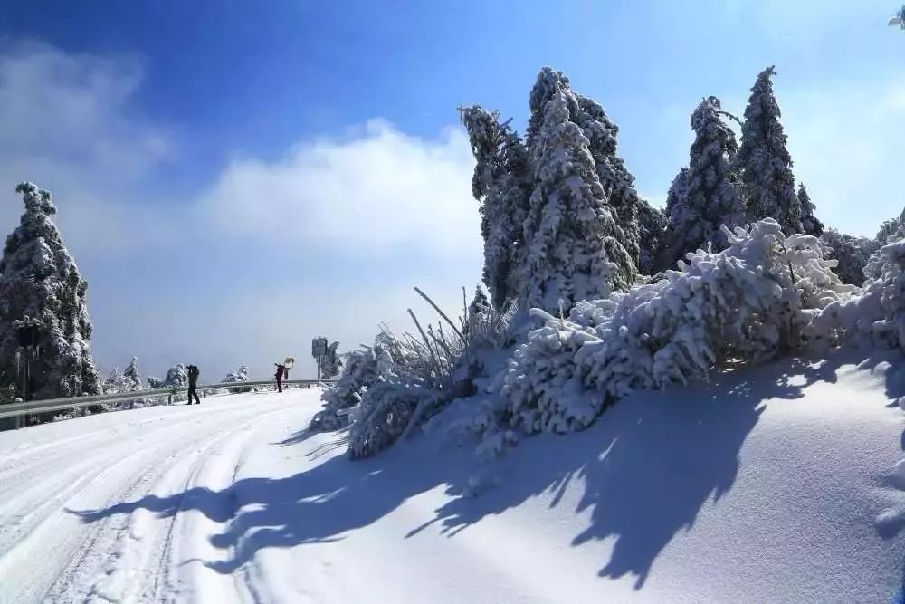 多少度才会下雪 ec50472038e6482cbb3ae0a65ae0eb0a.jpeg