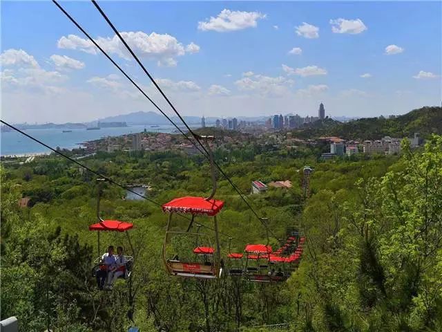 (现青岛植物园),树木绿郁葱葱,遮天密日  这就是青岛快乐产地空中漫步