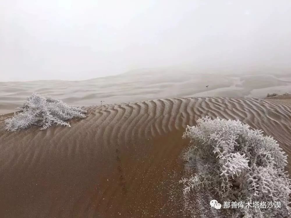 冬天下雪的沙漠美得不像人间
