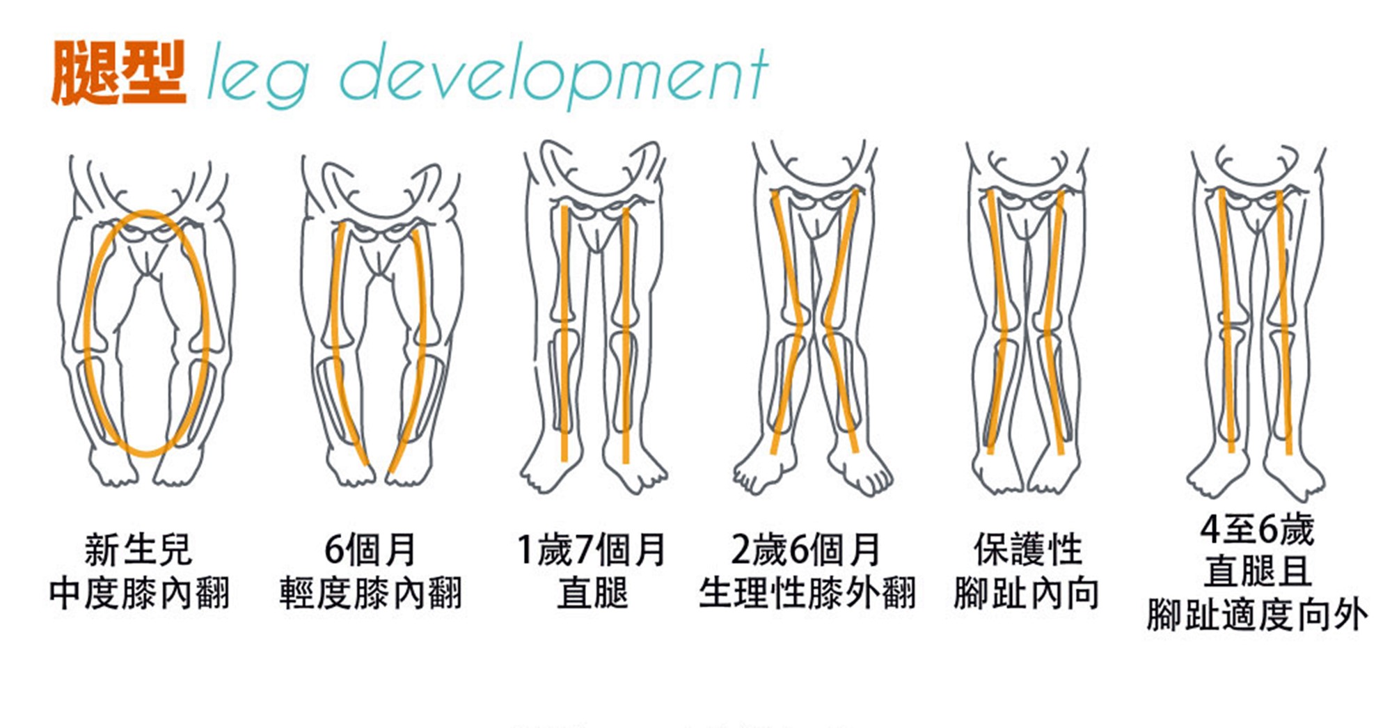 贝贝豆育儿课堂■原创宝宝一动关节“咔咔”作响，发育快还是缺钙？别被“假象”迷了眼