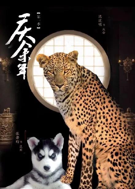文章配图-2