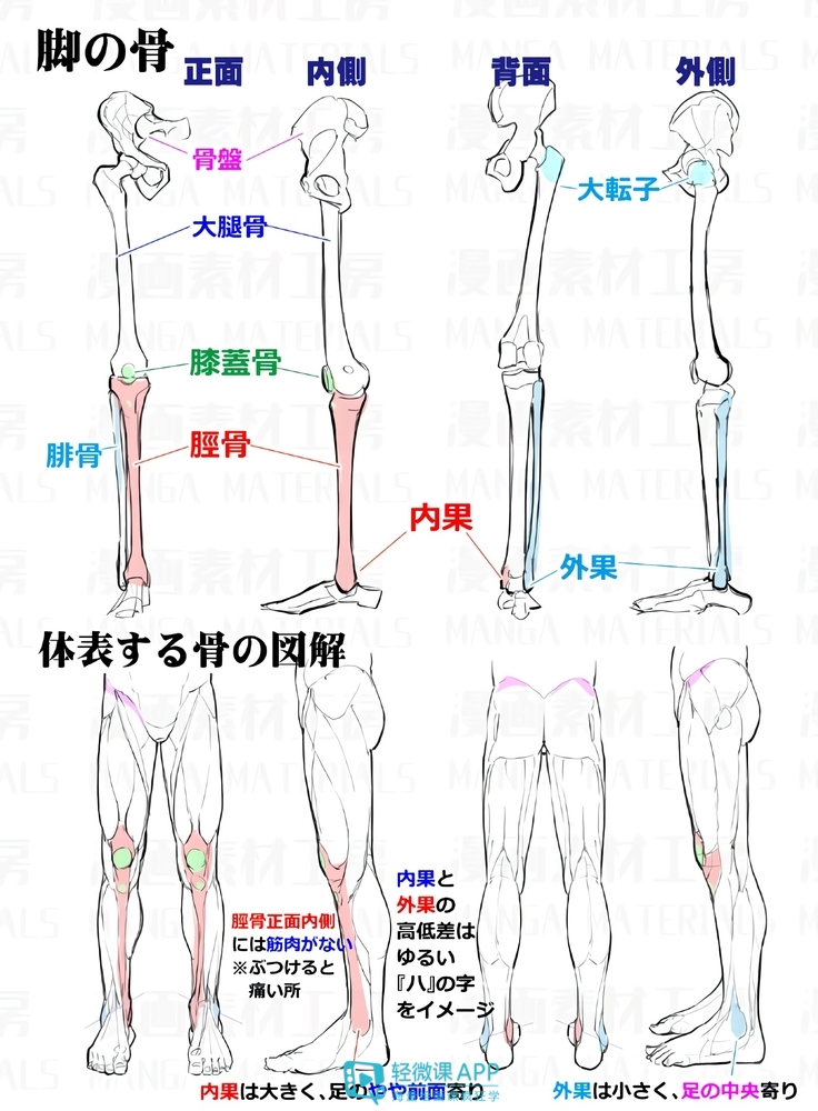 学习人体结构的时候,一定要多练,下面开始咱们的漫画素材工房人体素材