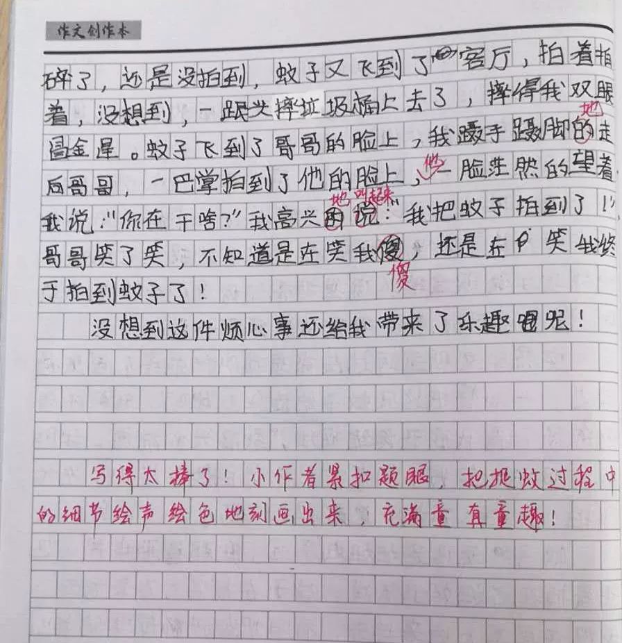 邦德学员优秀作文赏析12《捉蚊趣事》