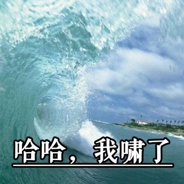 30个让我笑出鹅叫的表情包来了,来收图吧,不要抢我的辣条