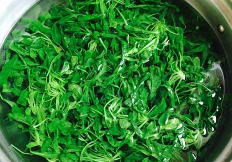 婆婆丁是马齿苋吗 3757cfc1d19a411f873045d42c45e775.jpeg