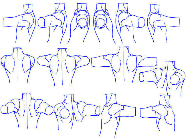动漫人物肩膀和背部绘画教程分享